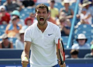 Теннисисты Димитров и Чилич отобрались на Итоговый турнир АТР в Лондоне