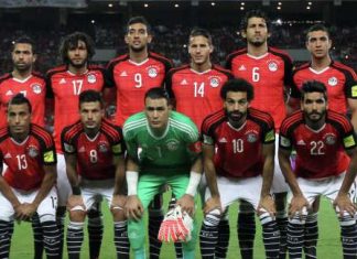 Посол Египта в РФ уверен, что египетских футболистов ждет теплый прием на ЧМ-2018