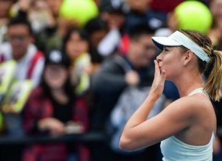 Шарапова может выиграть Уимблдон, считает Тарпищев